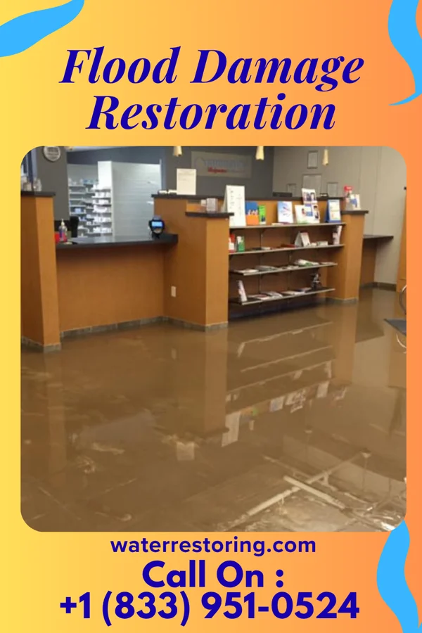 Flood Damage Restoration in Ladonia, TX