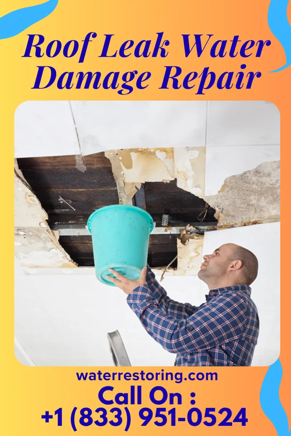 Roof Leak Water Damage Repair in Ladonia, TX