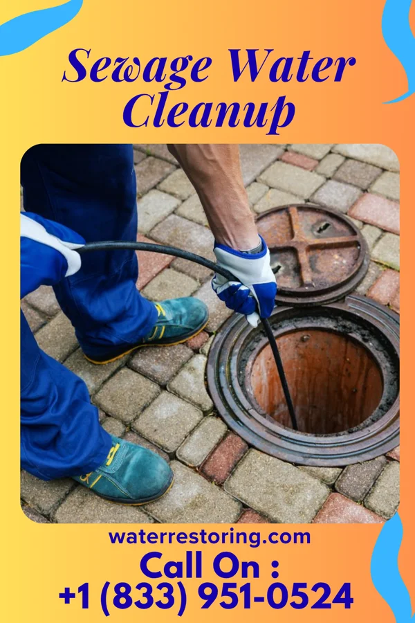 Sewage Water Cleanup in Ladonia, TX